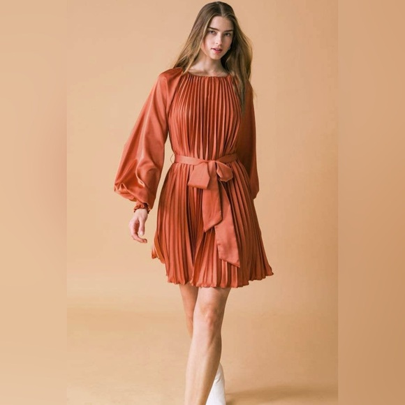 NWT Boutique Grace Pleated Long Sleeve Dress – Rust - Picture 3 of 7